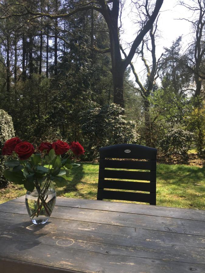 Geschakelde Bungalow Op De Veluwe "De Eekhoorn" Otterlo Esterno foto