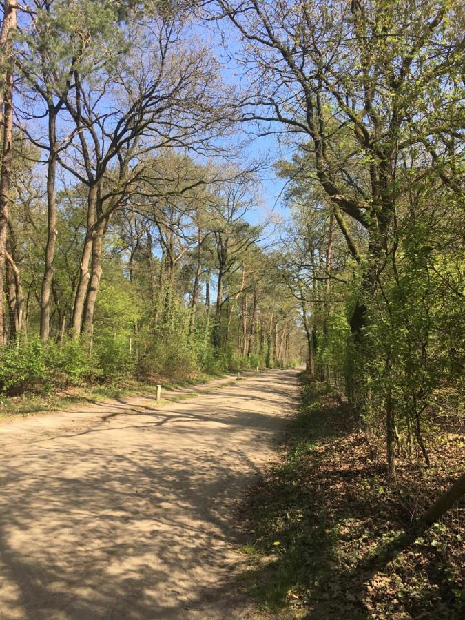 Geschakelde Bungalow Op De Veluwe "De Eekhoorn" Otterlo Esterno foto